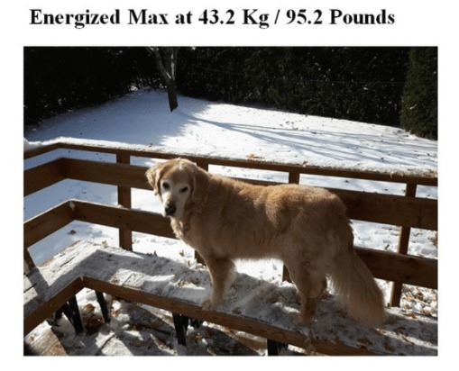 Max-Weigth1