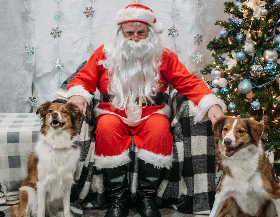 A pet posing with Santa at Mac Animal Clinic