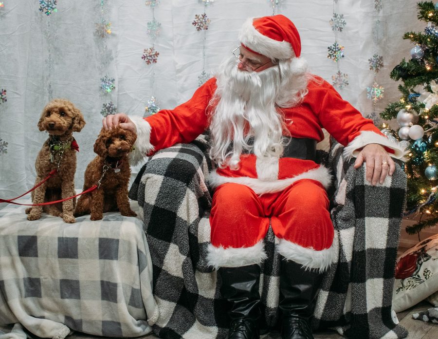 A pet posing with Santa at Mac Animal Clinic