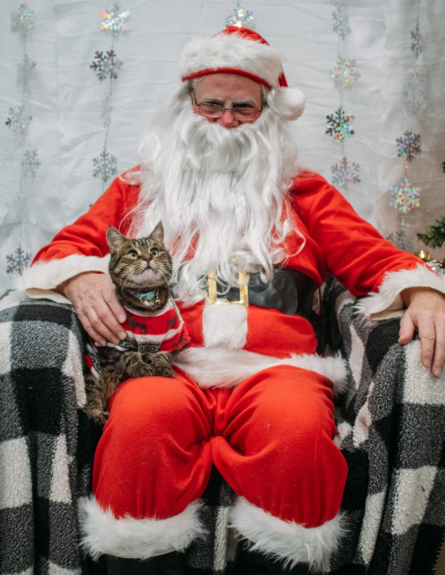 A pet posing with Santa at Mac Animal Clinic
