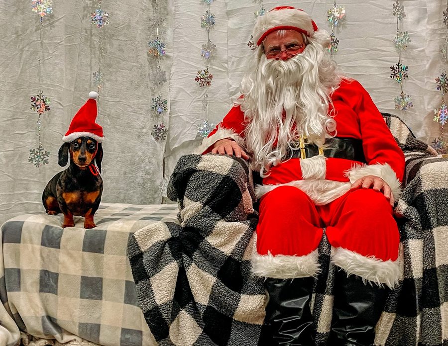 A pet posing with Santa at Mac Animal Clinic