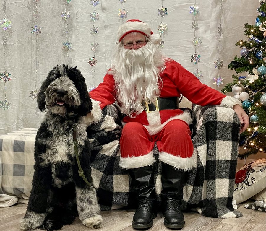 A pet posing with Santa at Mac Animal Clinic
