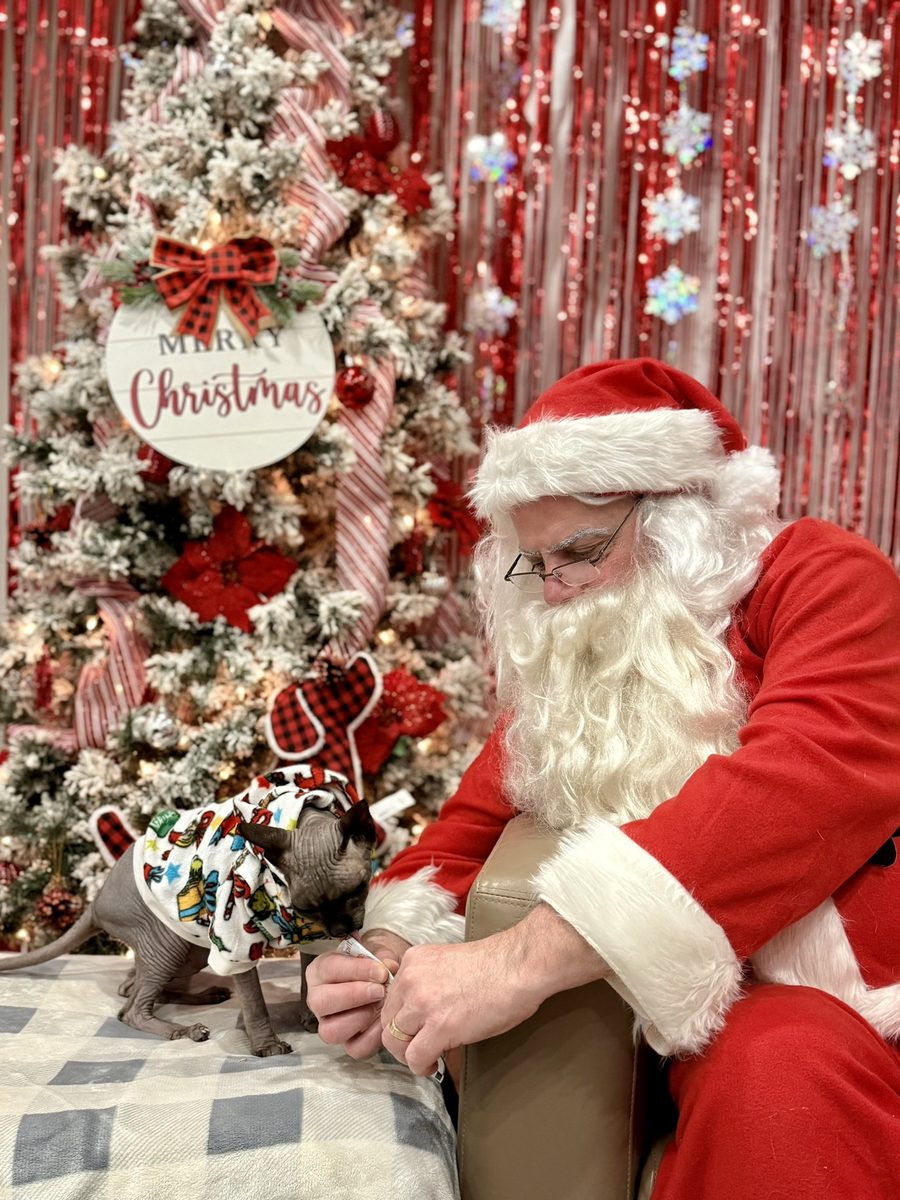 A pet posing with Santa at Mac Animal Clinic