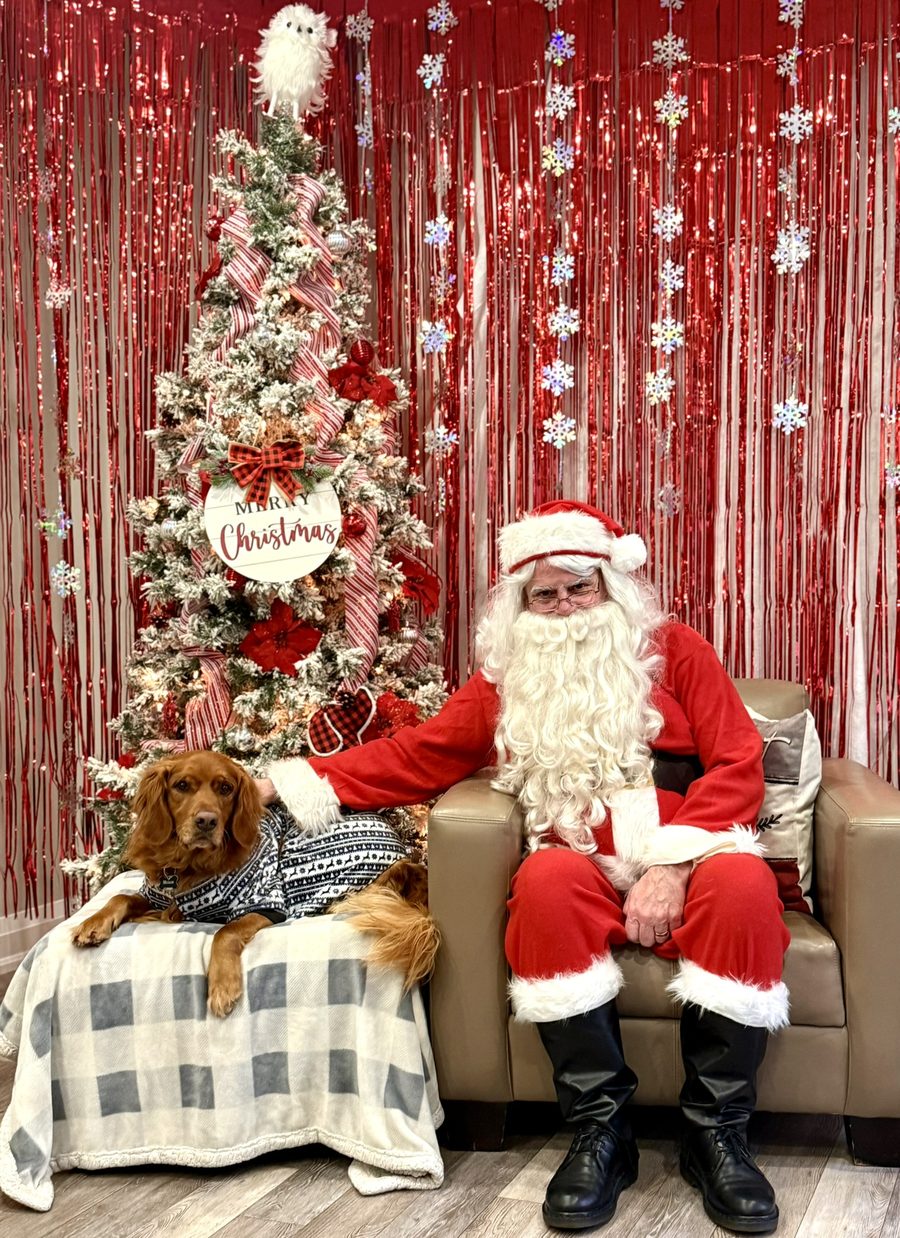A pet posing with Santa at Mac Animal Clinic