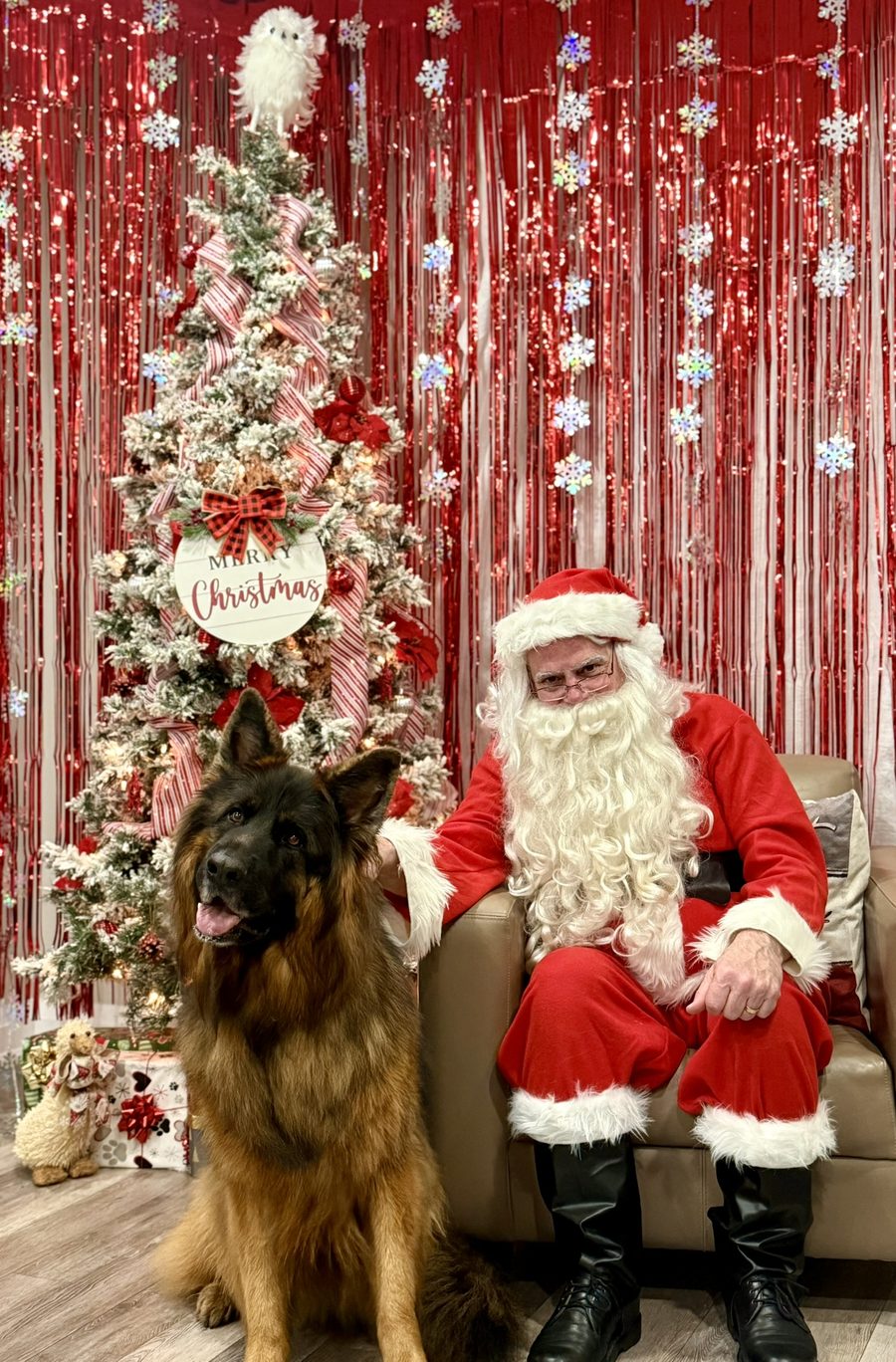 A pet posing with Santa at Mac Animal Clinic